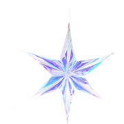 Iridescent 5 Point Star Ornament