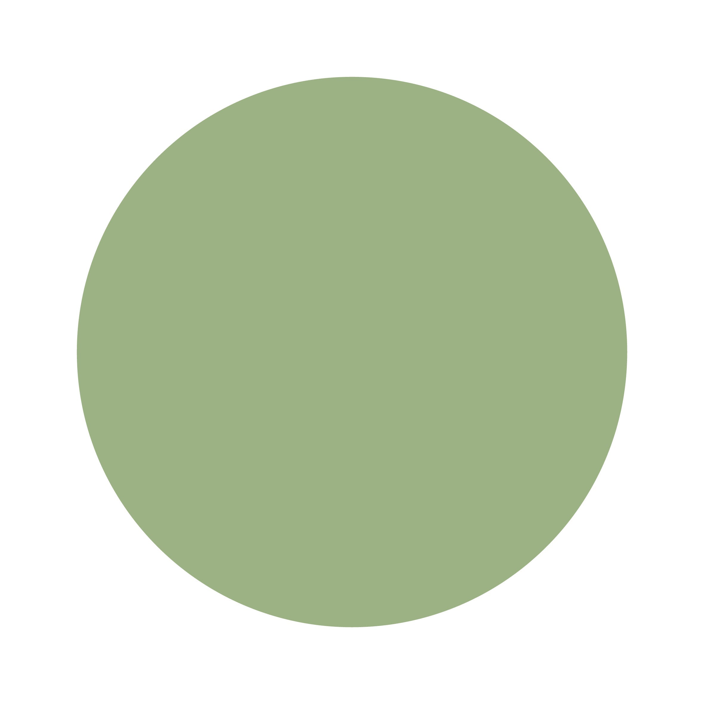 Sage Green | Adult Bamboo Long Sleeve Top