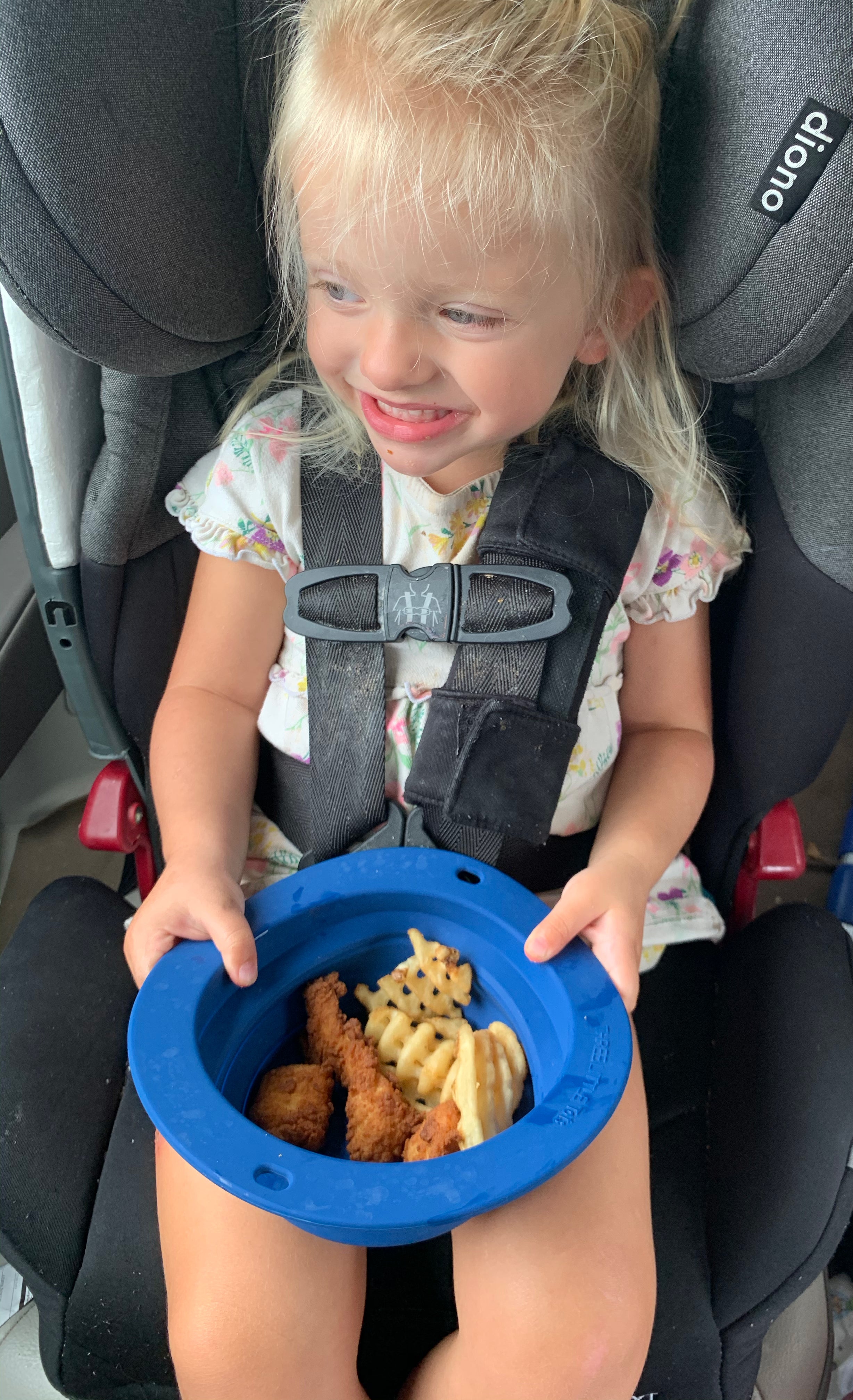 Sailor Collapsible Bowl For Travel Or Home