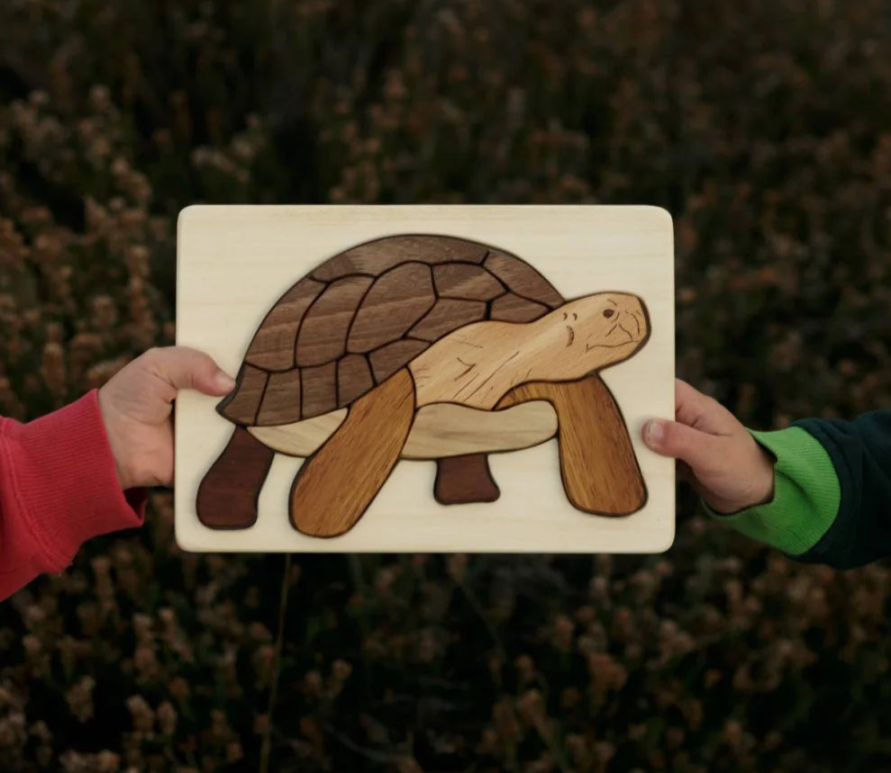 Turtle / Tortoise Wooden Puzzle In Natural Wood