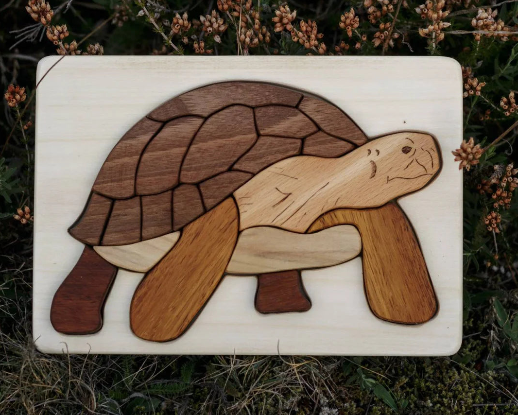 Turtle / Tortoise Wooden Puzzle In Natural Wood
