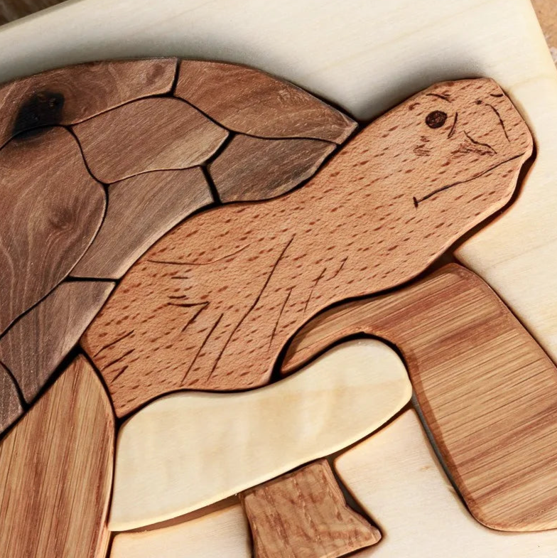 Turtle / Tortoise Wooden Puzzle In Natural Wood