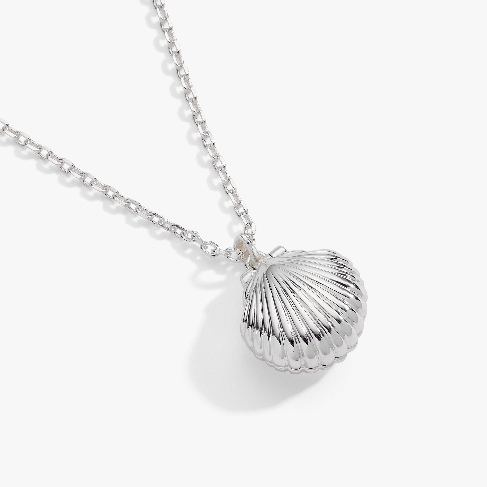 Salt + Sea 'seashells Are Love Letters In The Sand' Seashell Locket Pendant