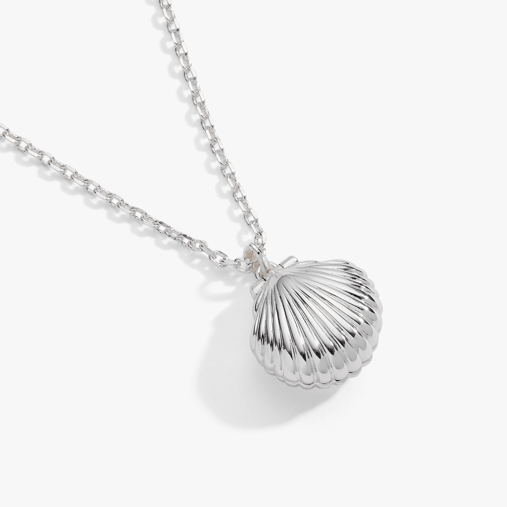 Salt + Sea 'seashells Are Love Letters In The Sand' Seashell Locket Pendant