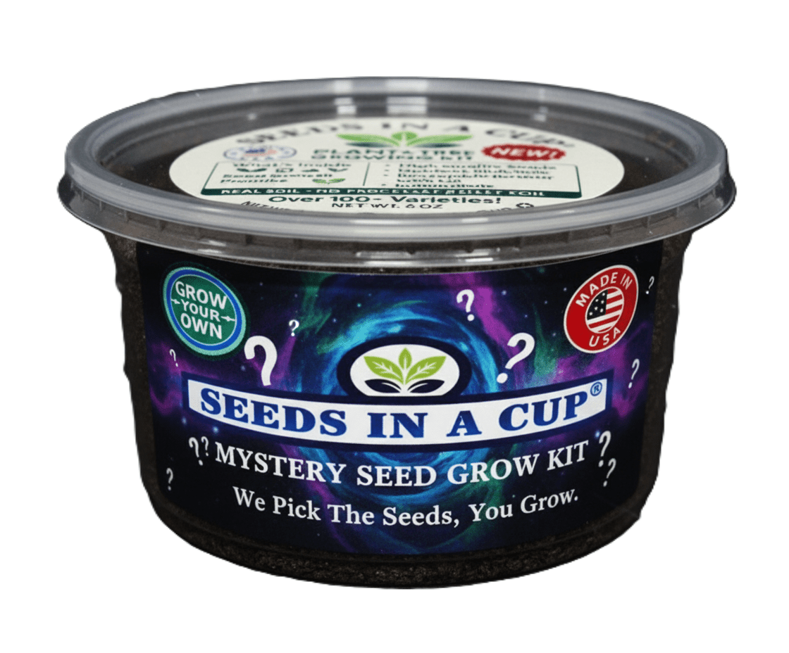 Dragon Fruit Tree | Plant Seed Starter Grow Kit |