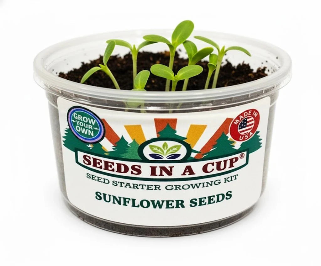 Sunflower Grow Kit |