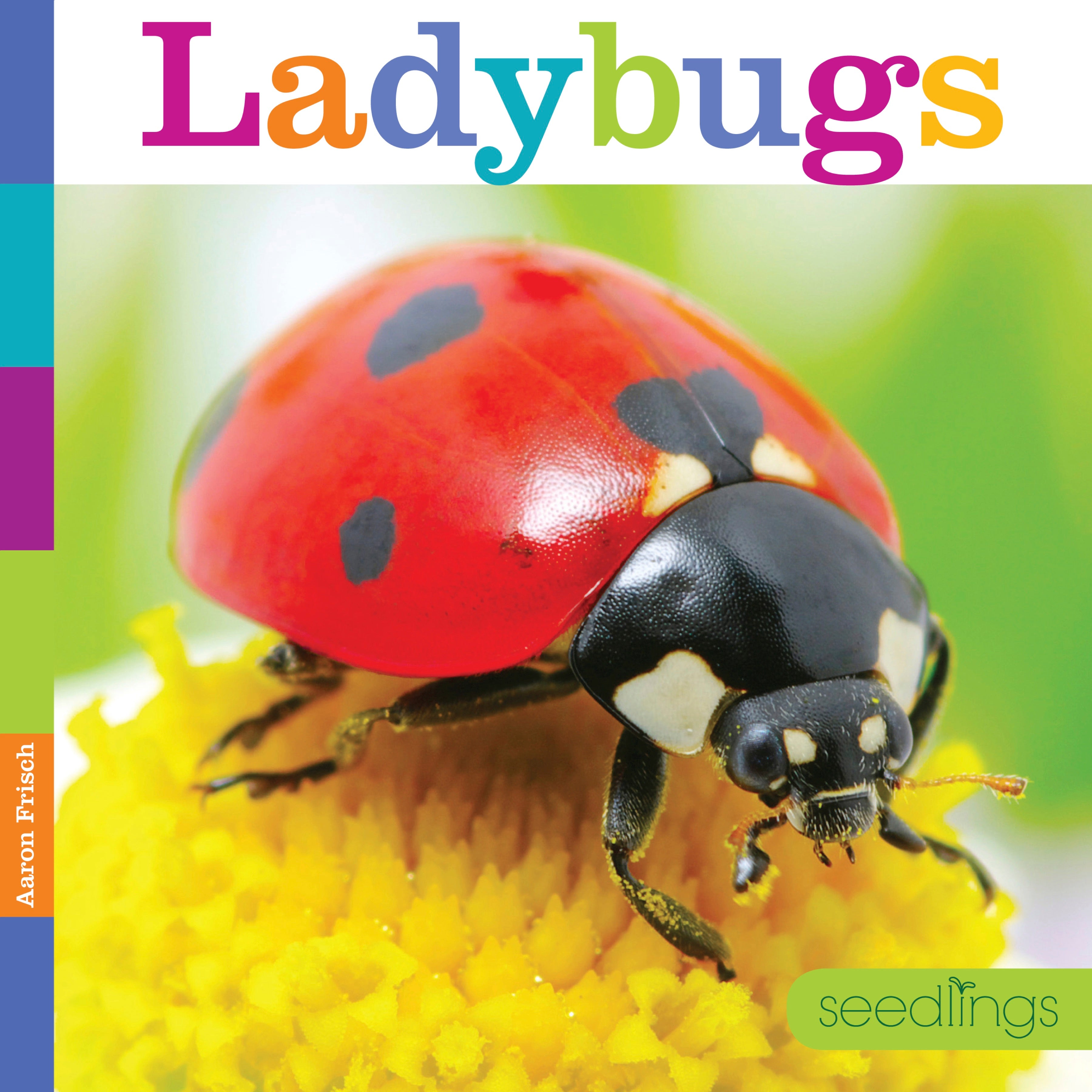 Seedlings: Ladybugs by The Creative Company