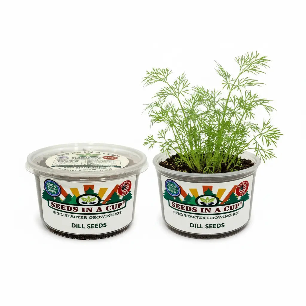Dill Grow Kit |