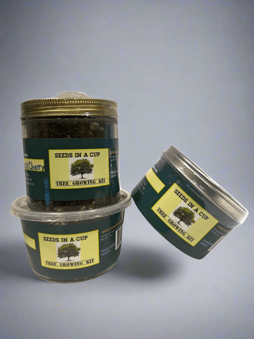 Concord Grape  | Vine Seed Starter Grow Kit |