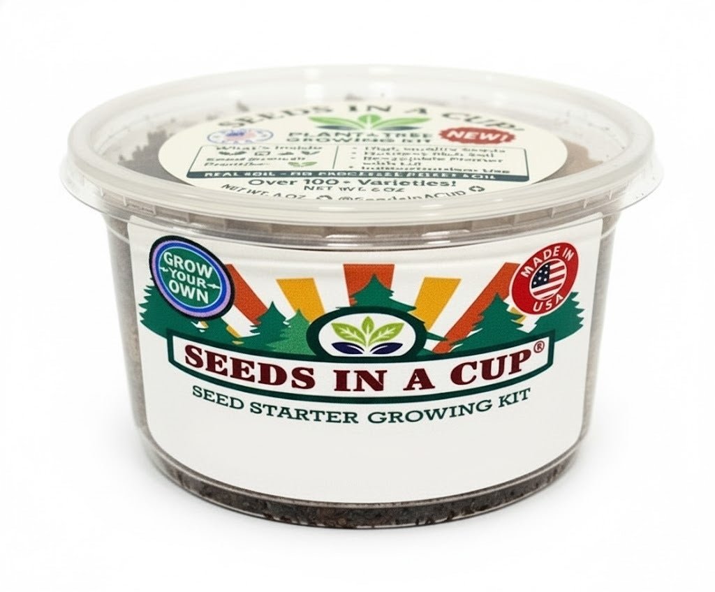 Squash Grow Kit |