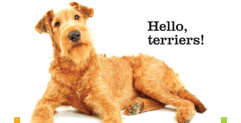 Seedlings: Terriers by The Creative Company