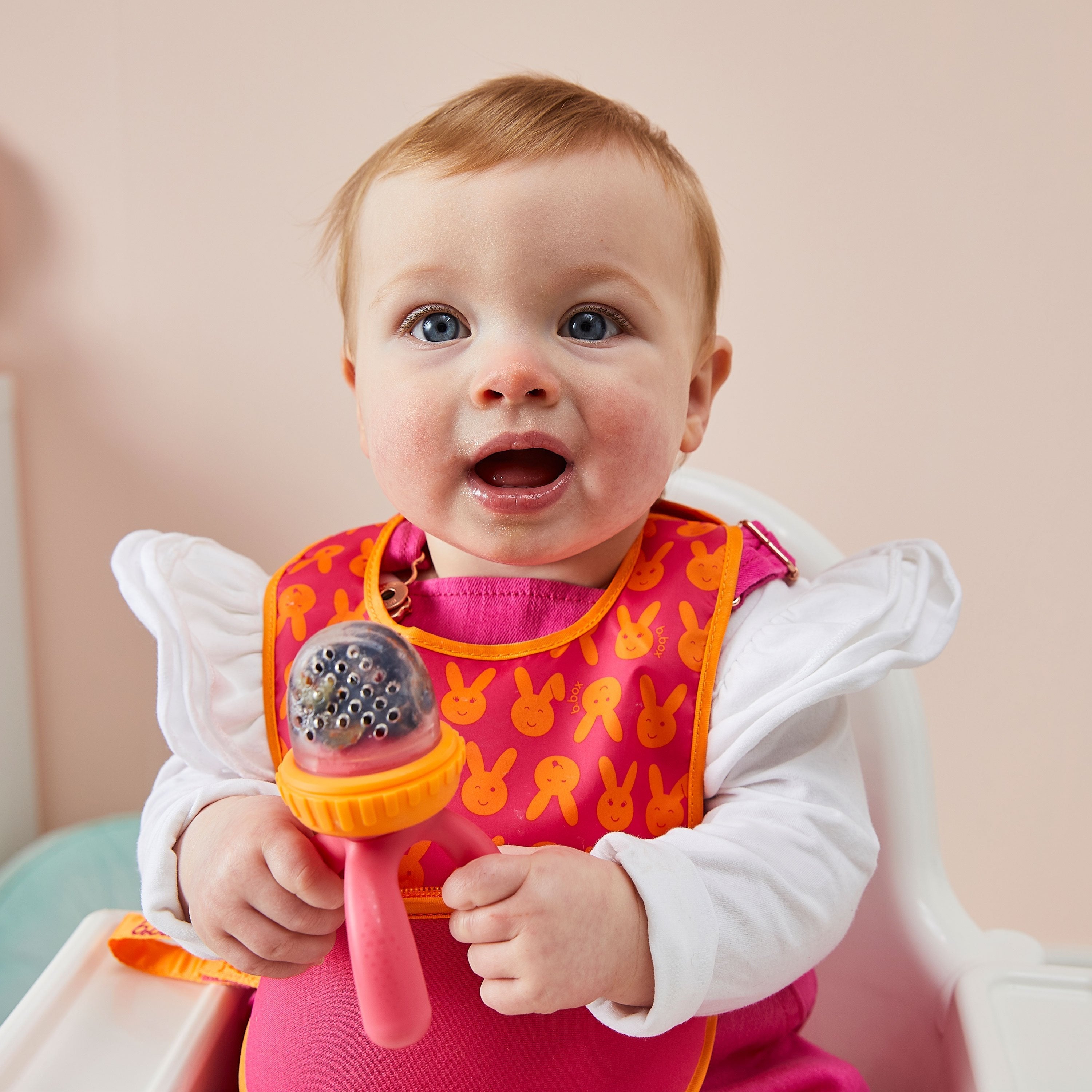 Silicone Fresh Food Feeder - Strawberry Shake