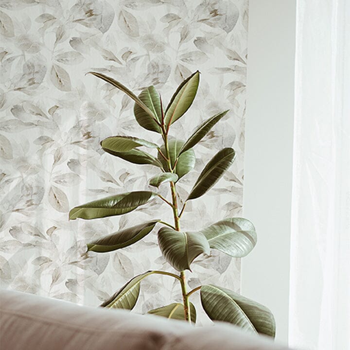 Silver Ficus Wallpaper