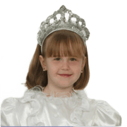 Silver Tiara With Veil