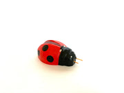 Wooden Ladybug Toy