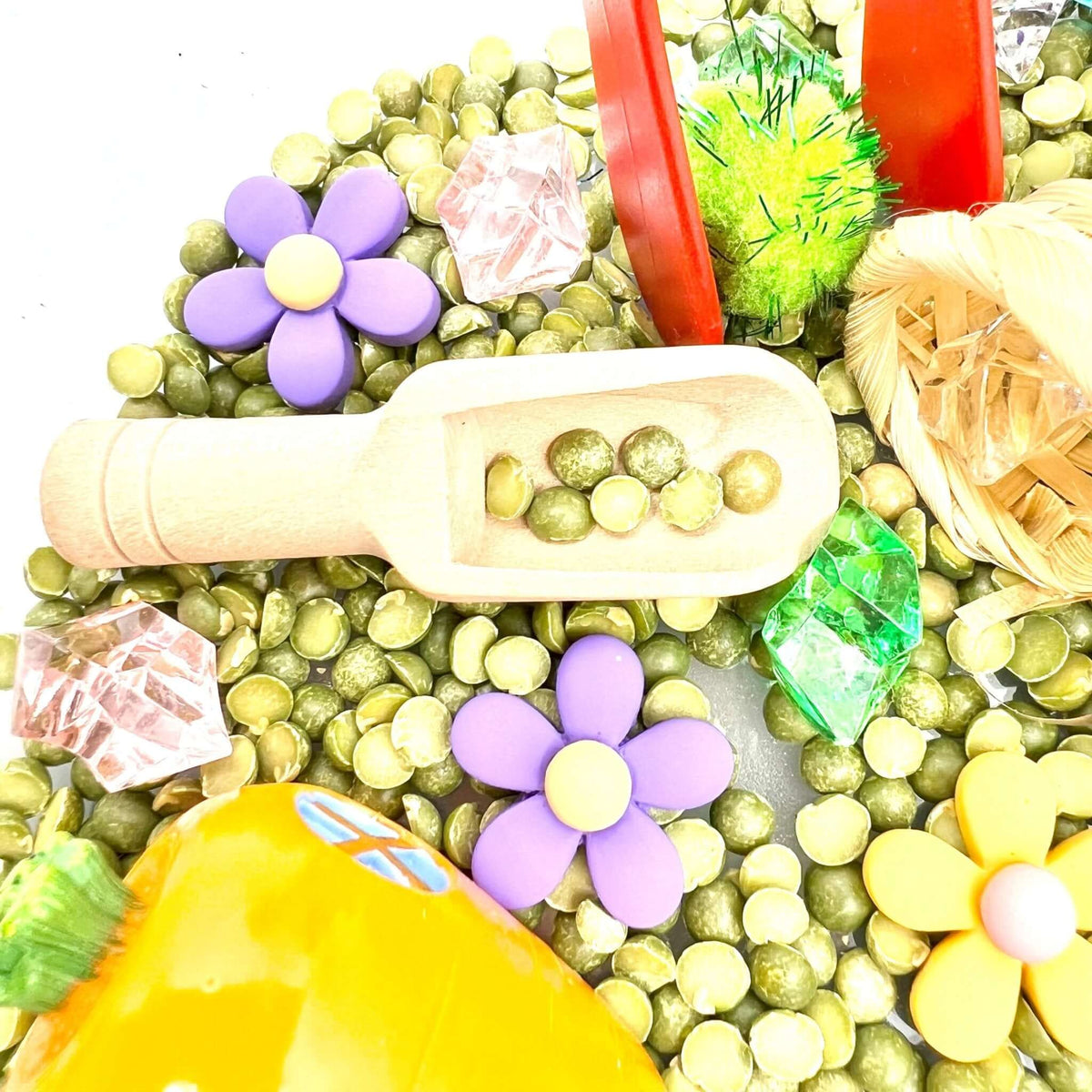 Spring Garden, Play Set With Lentils
