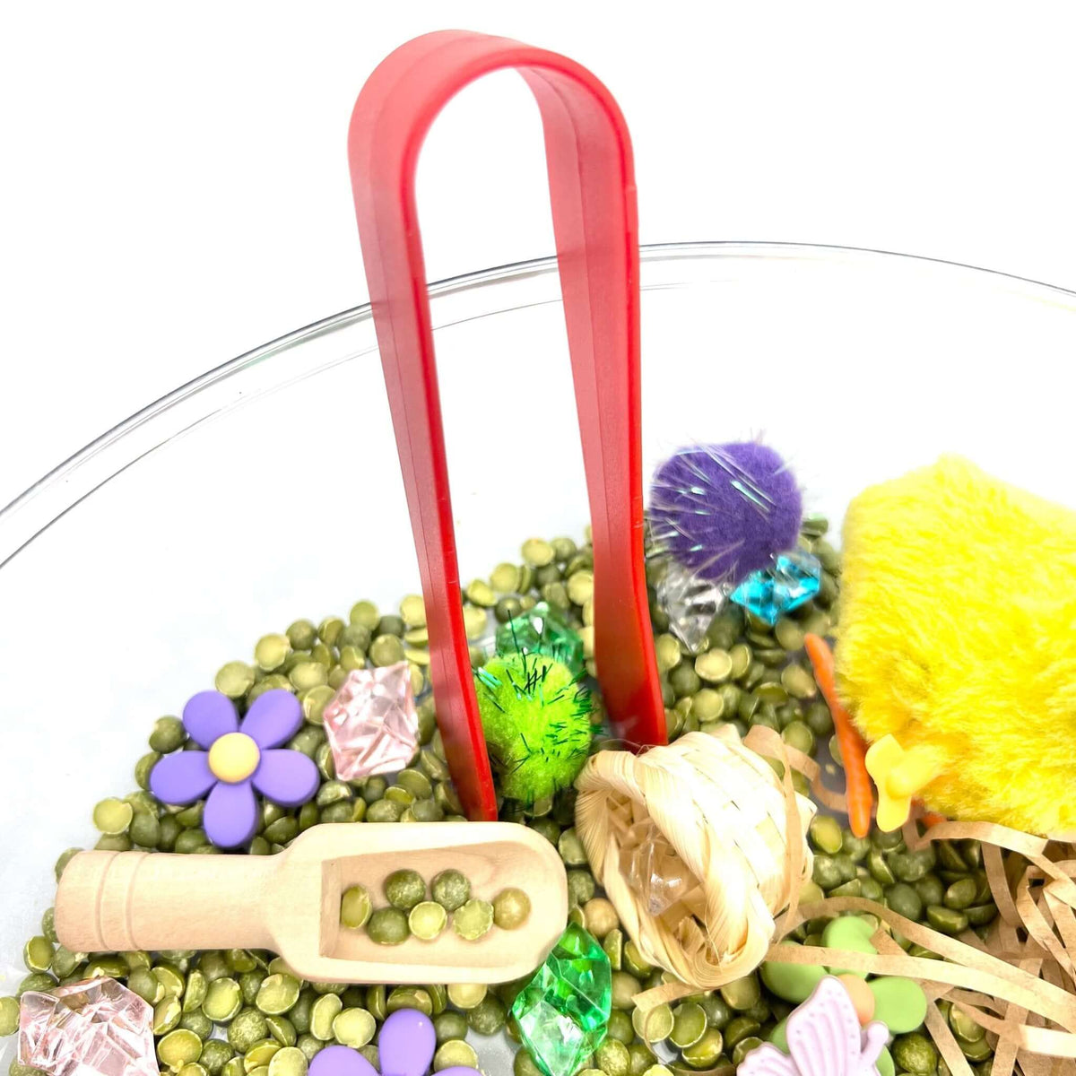 Spring Garden, Play Set With Lentils