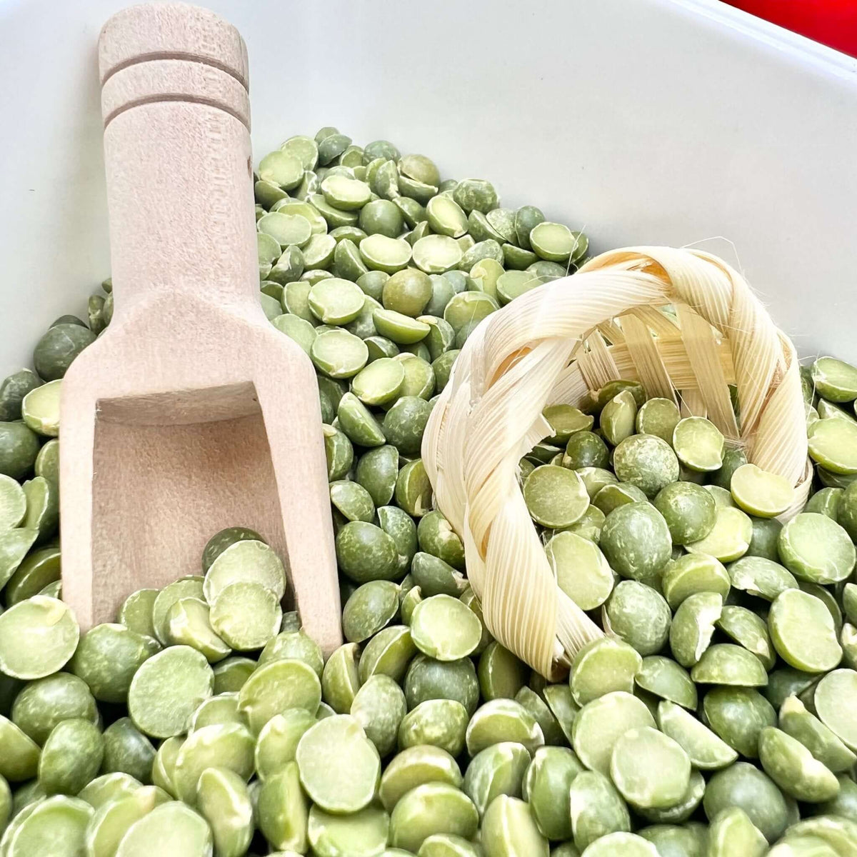 Spring Garden, Play Set With Lentils