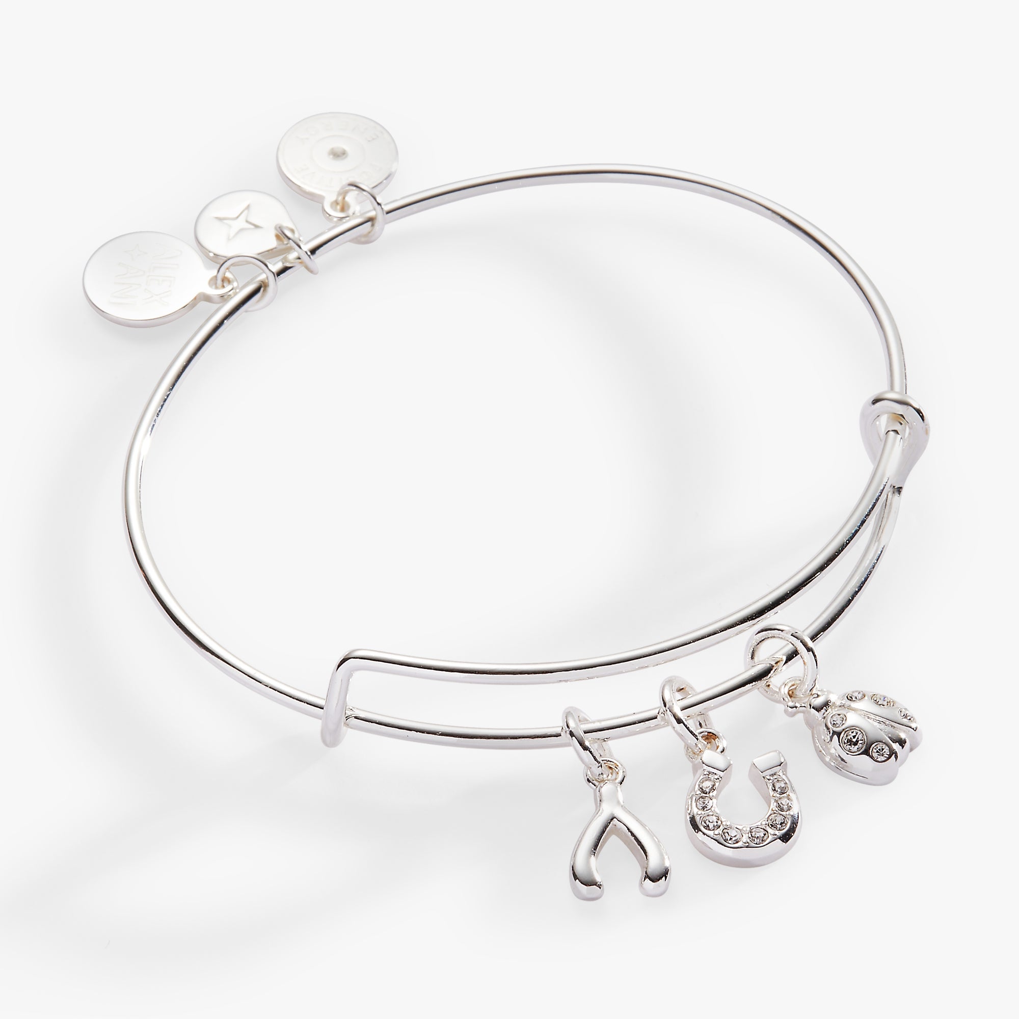 Love And Luck Multi-charm Bangle