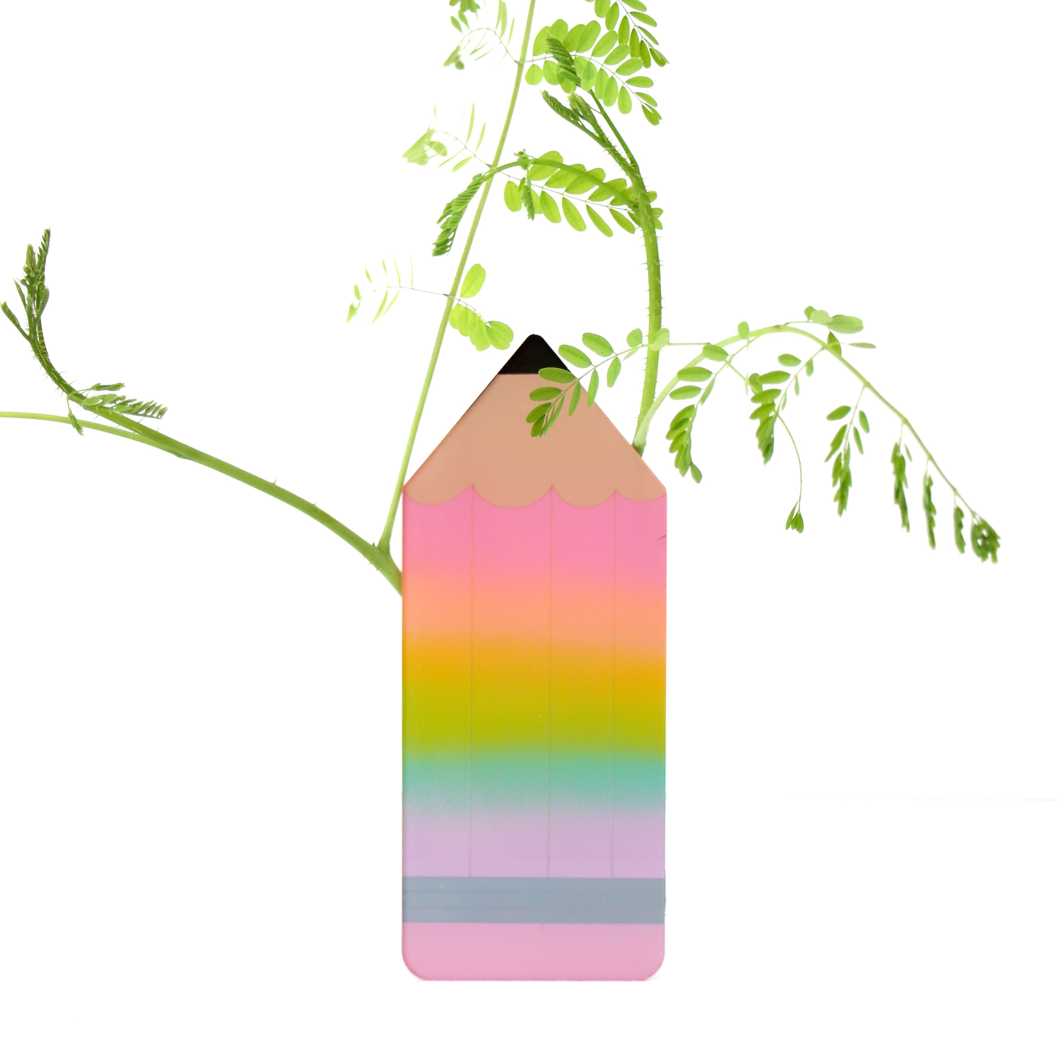 Rainbow Gradient Pencil Standing Propagation Planter