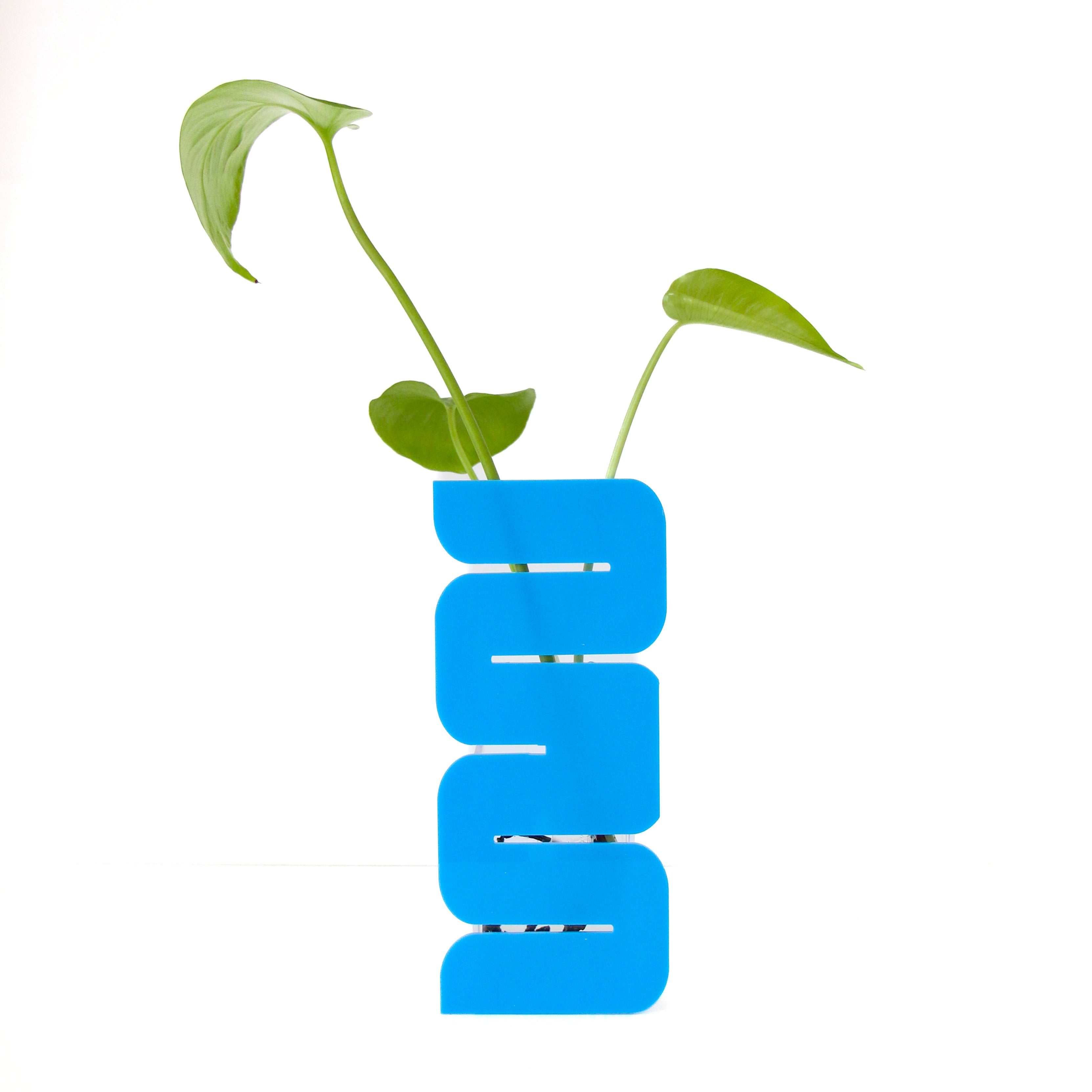 Blue Wave Standing Propagation Planter