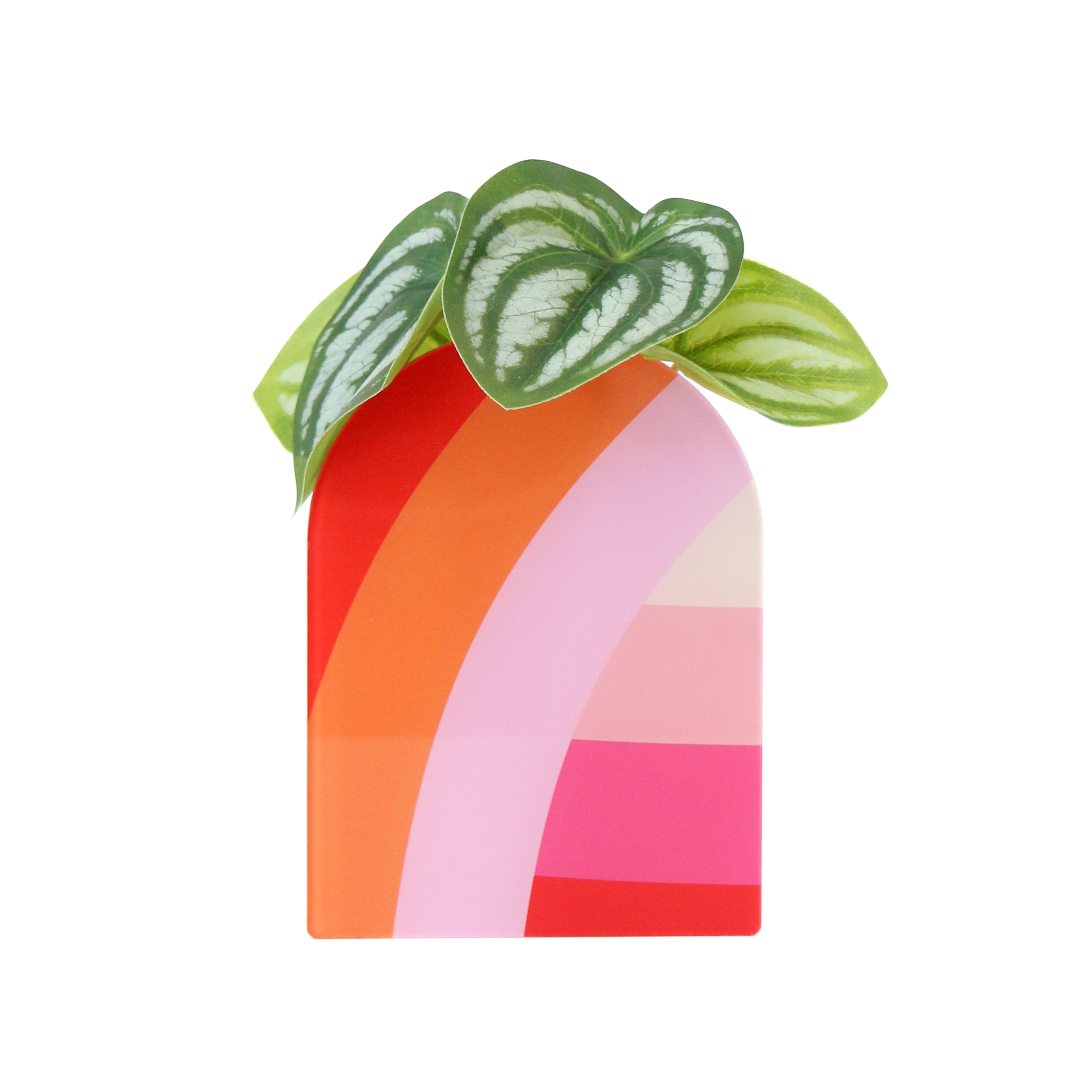 Red And Pink Arches Standing Propagation Planter