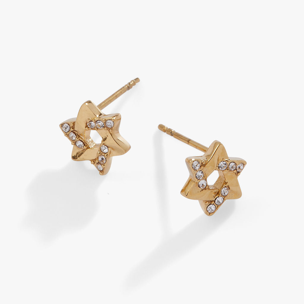 Star Of David Mini Stud Earrings