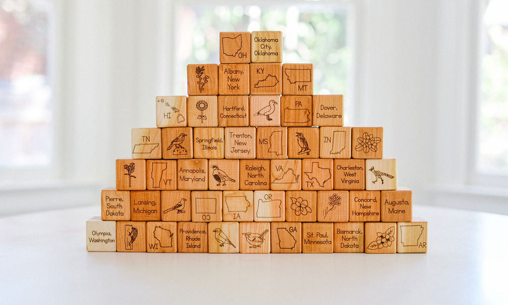 Usa State Blocks