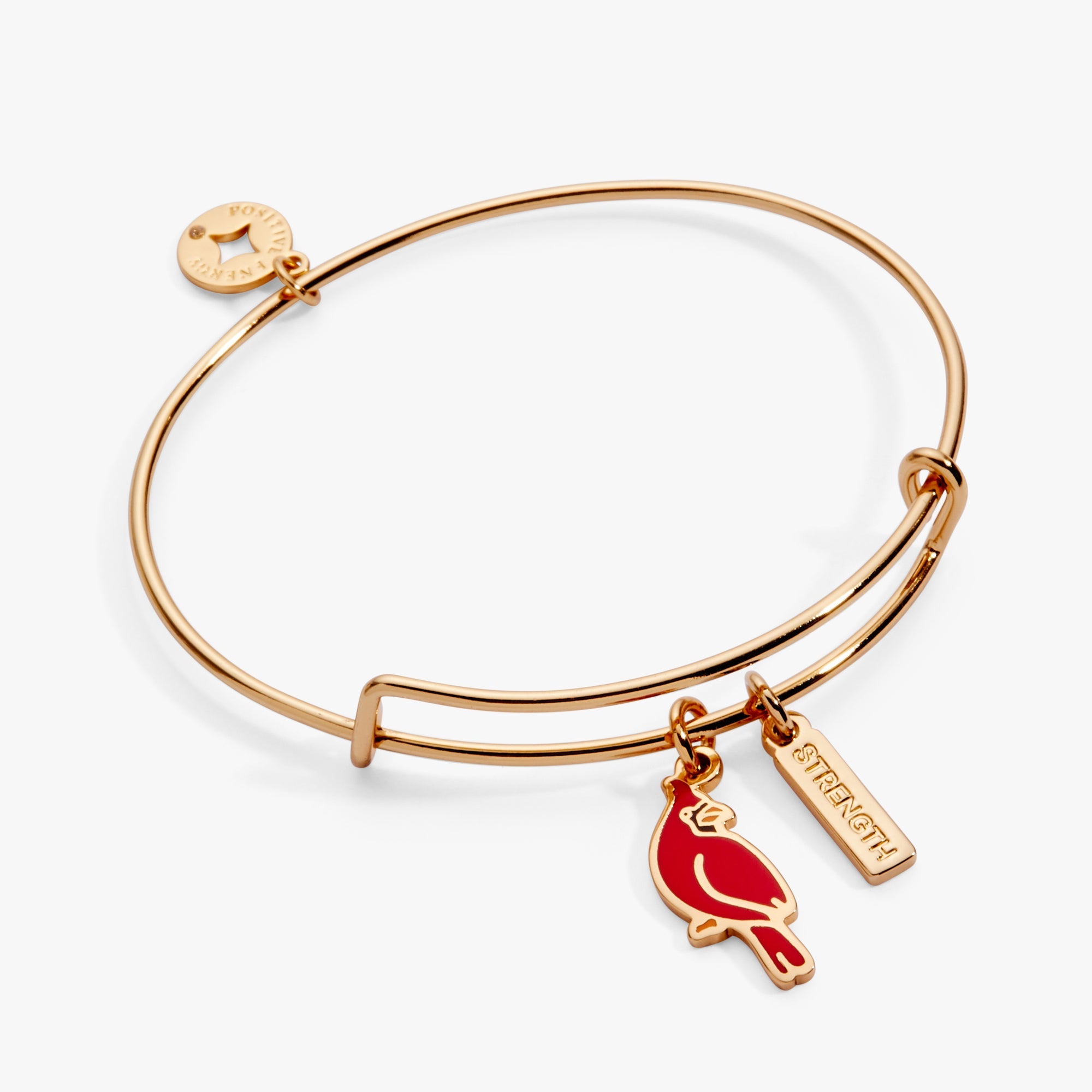 'strength' Cardinal Duo Charm Bangle Bracelet