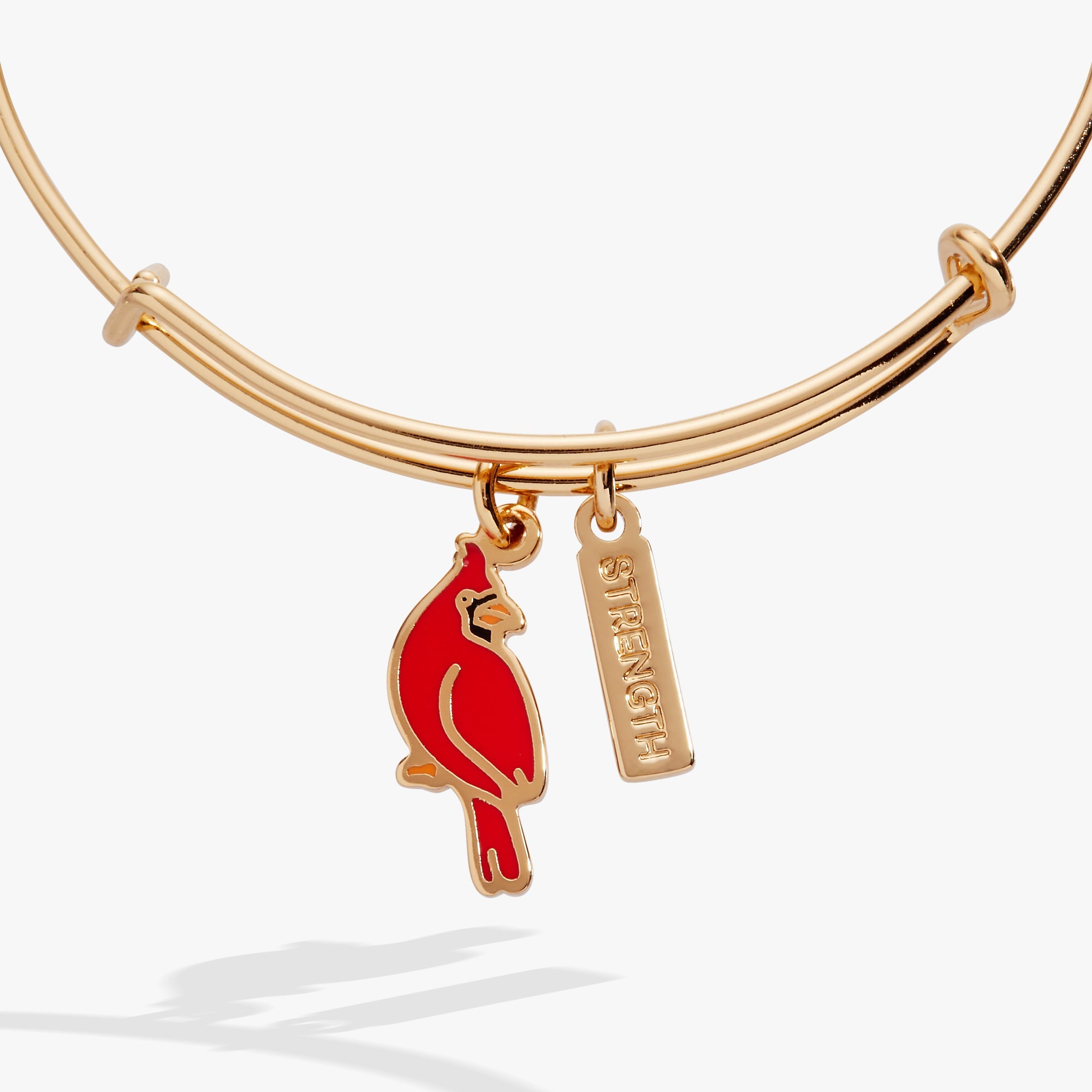 'strength' Cardinal Duo Charm Bangle Bracelet