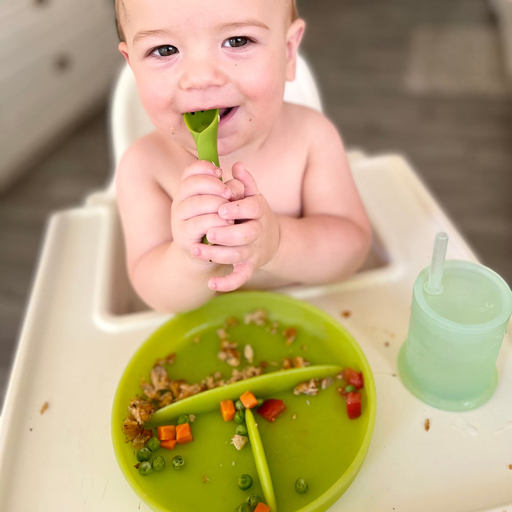 Divided Suction Plate For Independent Feeding