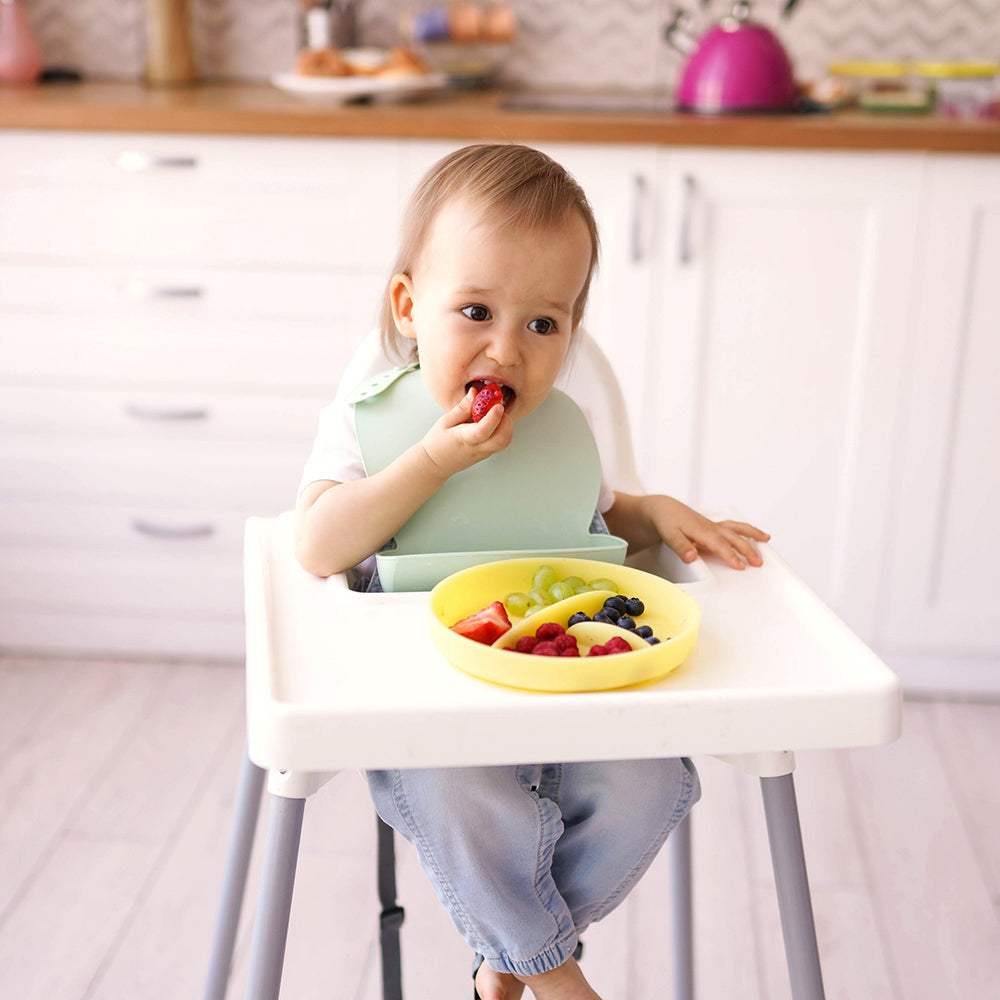 Divided Suction Plate For Independent Feeding
