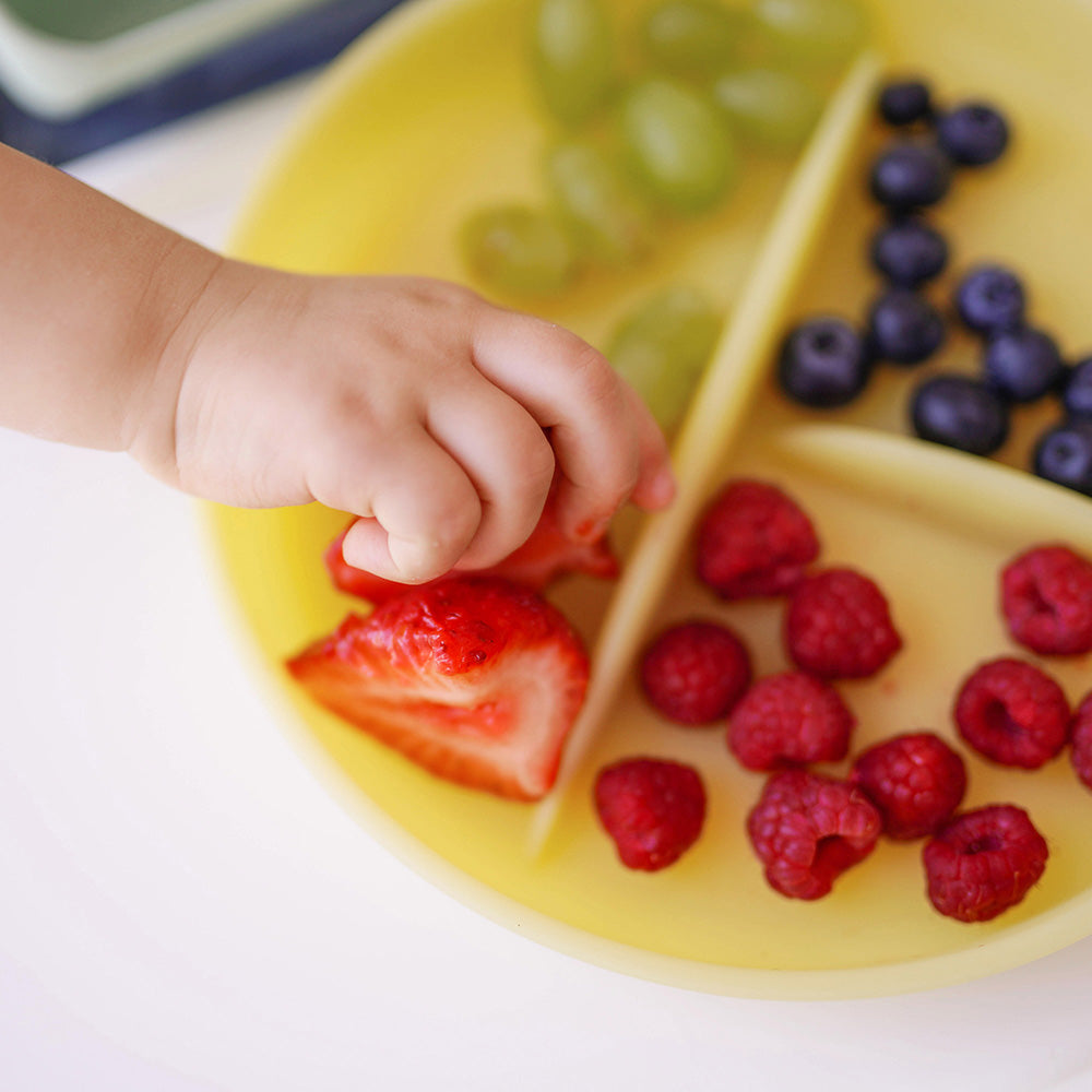 Divided Suction Plate For Independent Feeding