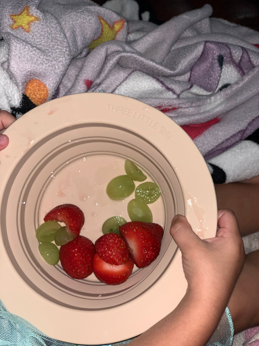 Sugar Cookie Collapsible Bowl For Travel Or Home
