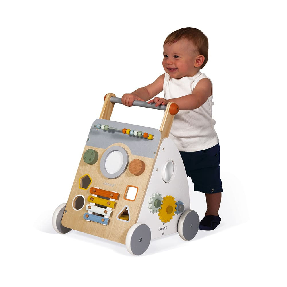 Sweet Cocoon - Multi Activity Baby Walker