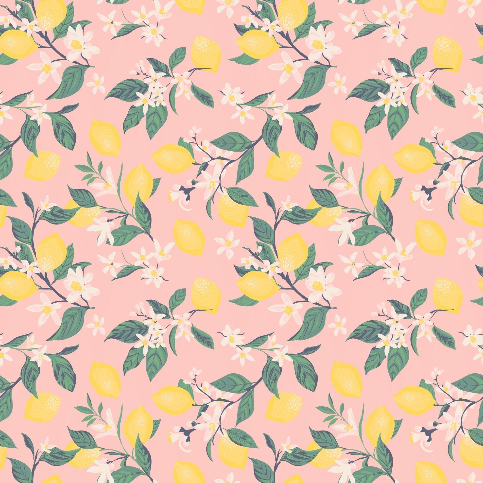 Pink Lemon Floral Print Cap Sleeve Swirly Girl Dress