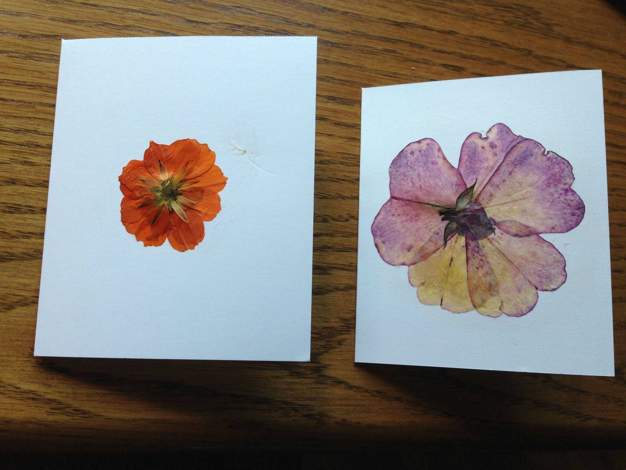 Flower Press  Wooden Craft Tool