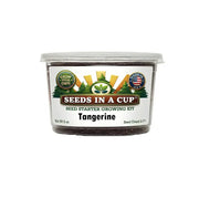 Tangerine Tree | Fruit Tree Seed Starter Grow Kit |