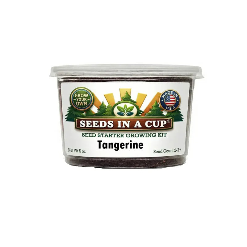 Tangerine Tree | Fruit Tree Seed Starter Grow Kit |