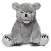 Little Bear - Stormy