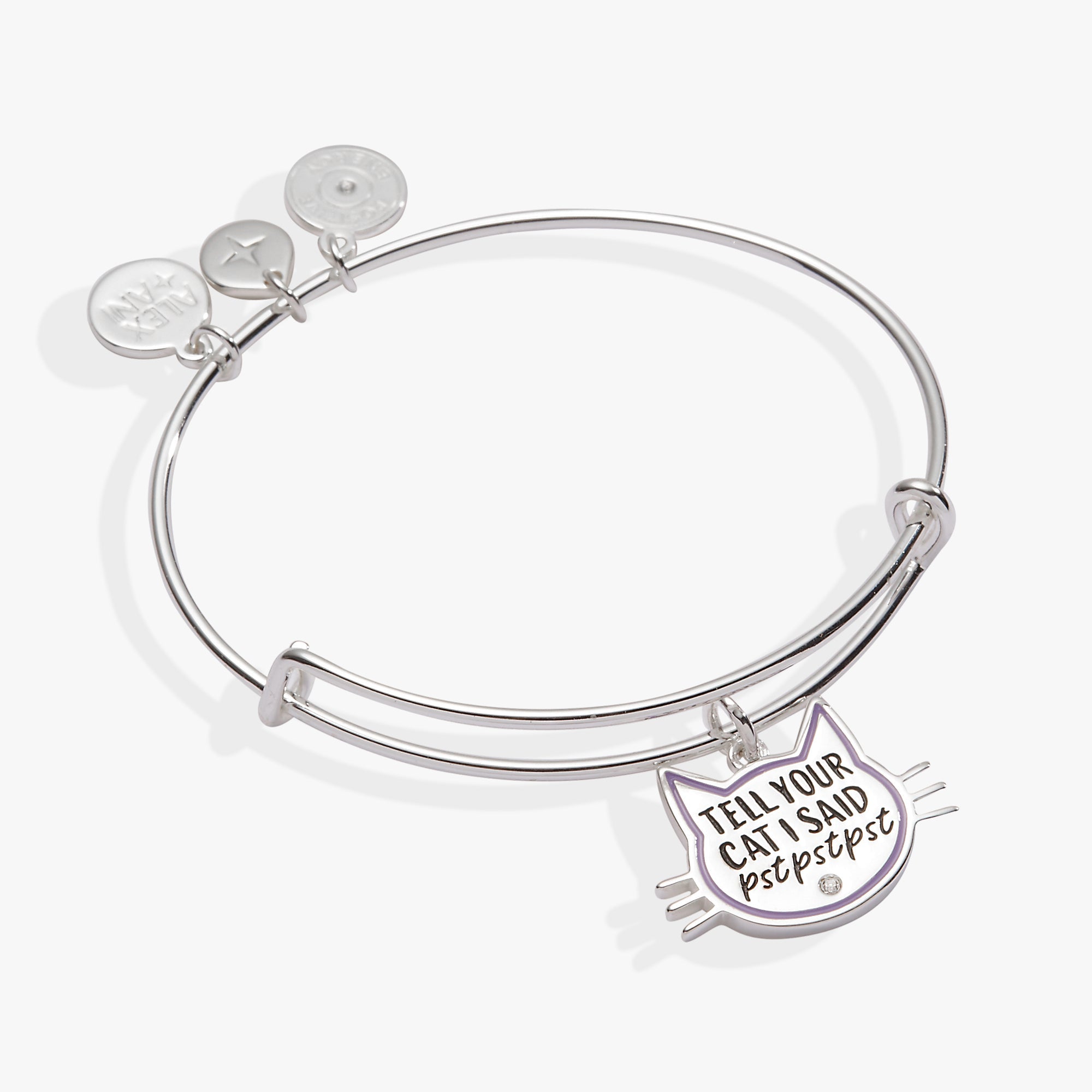 'tell Your Cat I Said Pst Pst Pst' Bangle