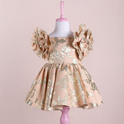Rosa Powder Party Dress