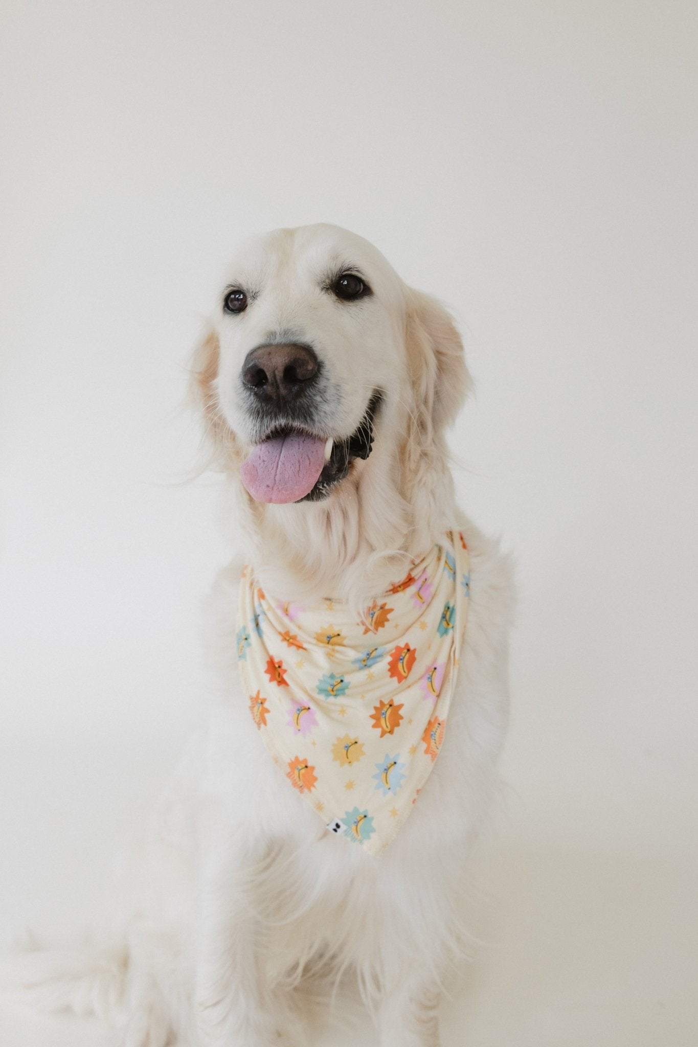 The Fam Bandana