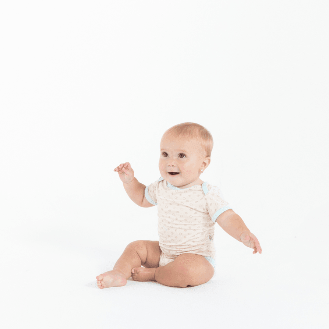 The Harper In Coconuts