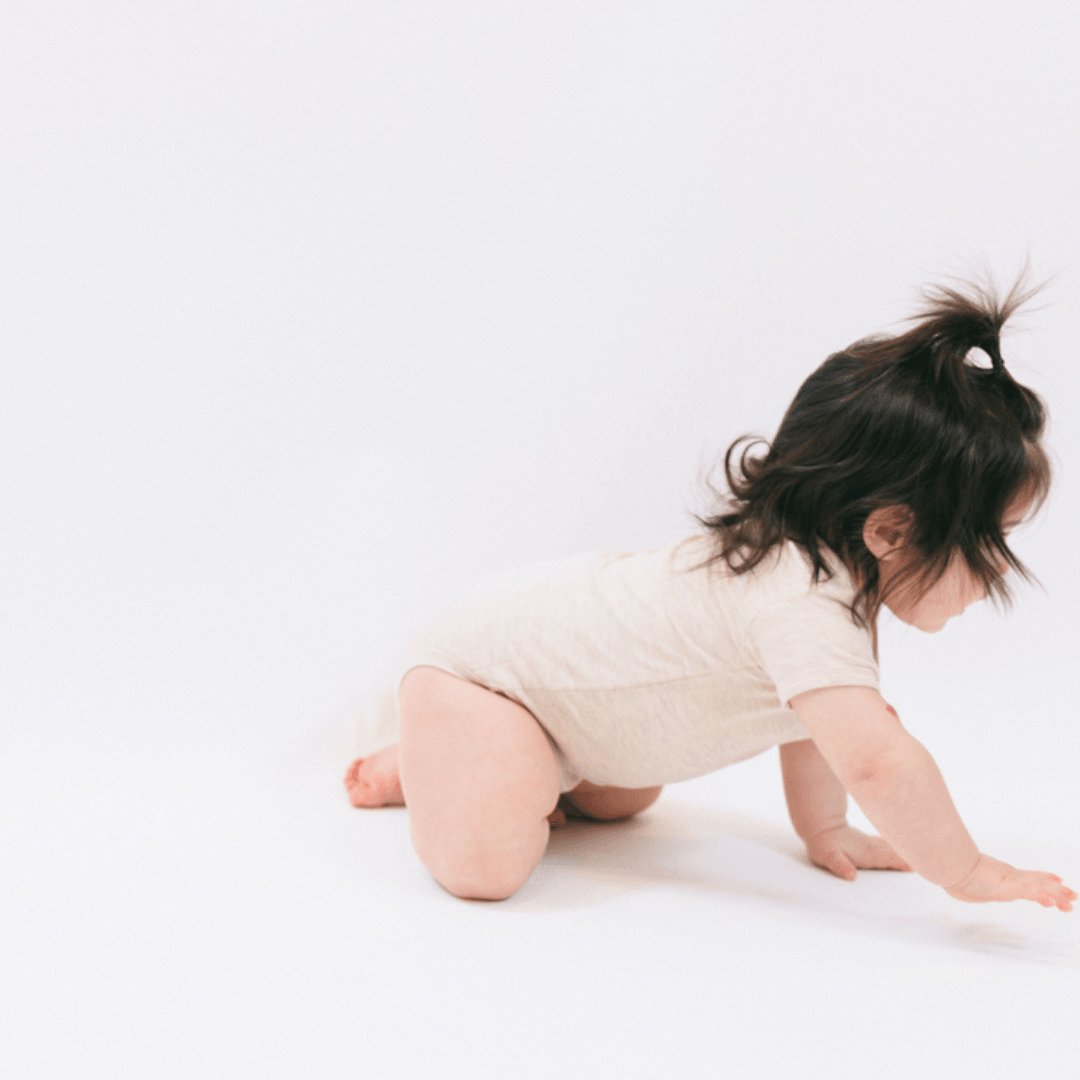 The Harper In Oatmeal