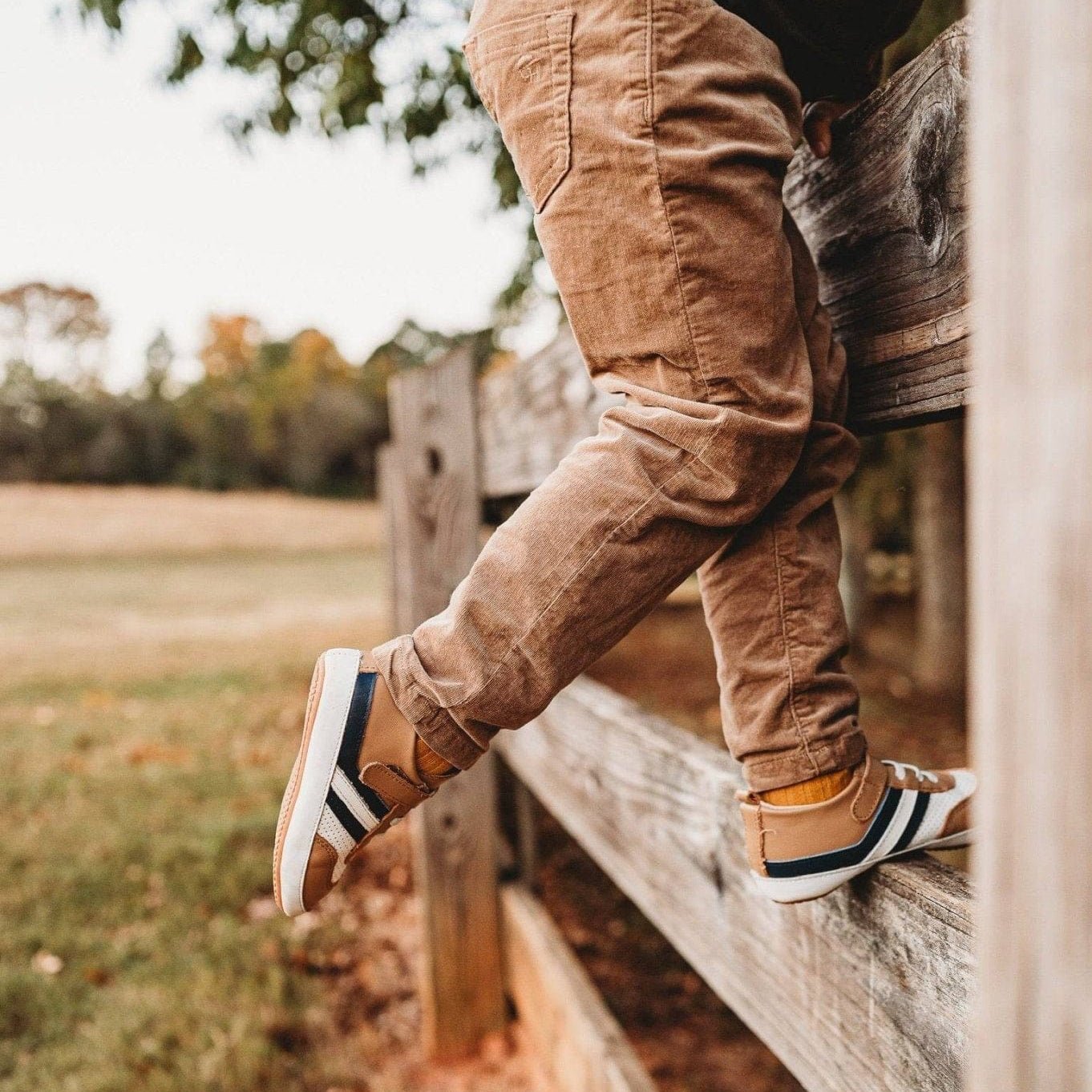 The Henry Low Top