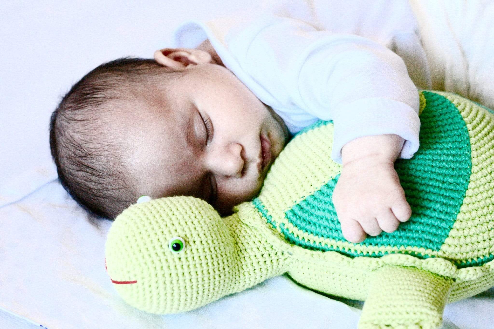 Thelma And Louse The Turtles