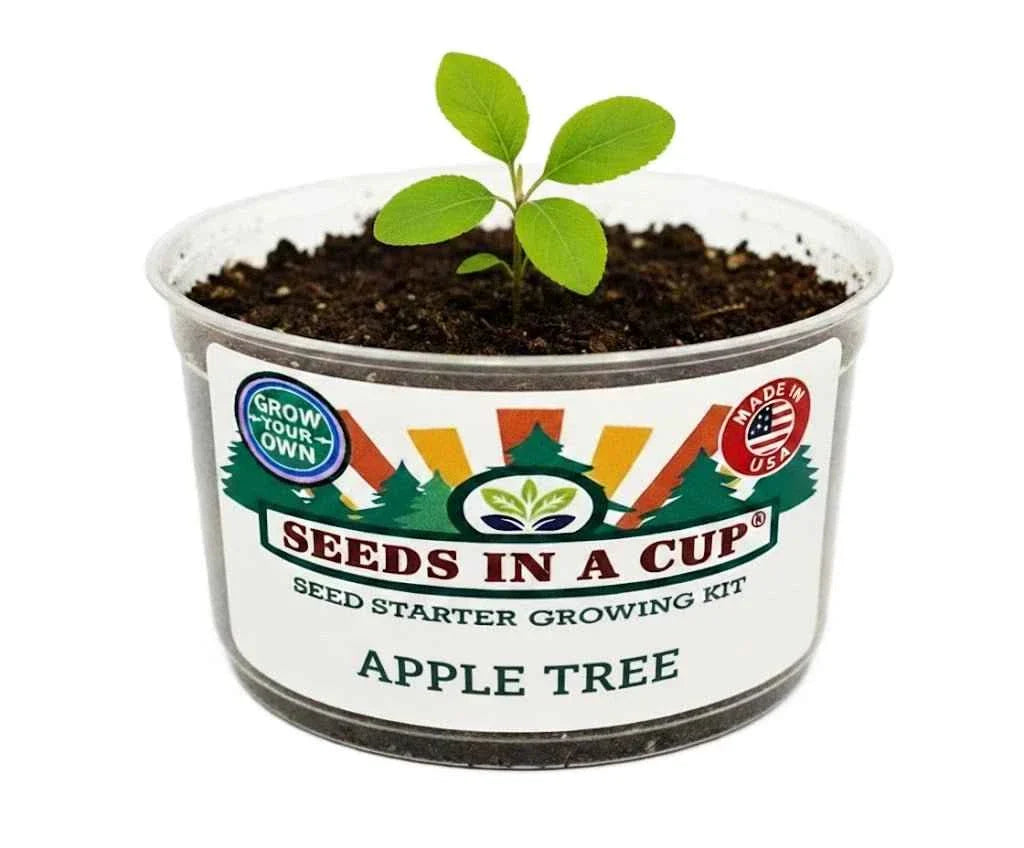 Apple Tree   |  Seed Starter Grow Kit  |