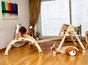 4 Pieces Climbing Set - Climbing Triangle, Arch Rocker, Pillow, And 2in1 Ramp