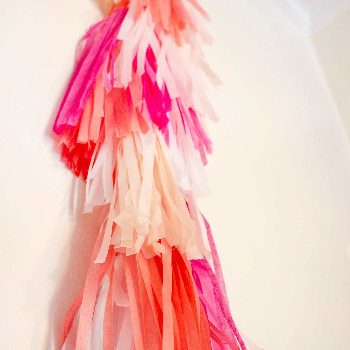 Tropical Tassel Tail